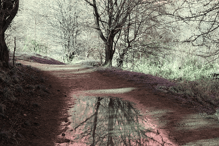 5.7paintingthepuddle