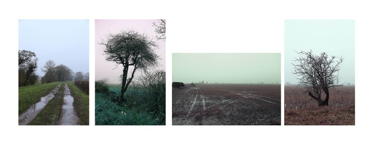 wbridlewaytotockwith