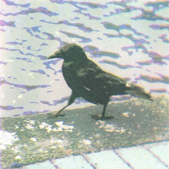 wstrollingbytheriverfoss